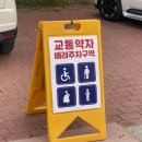 만점농원 | 양주 꽃축제 나리농원과 자라섬 꽃 축제 직접 다녀온 비교 후기