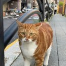 행운동-43 이미지