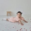 수원-1205 | 아기 두돌 기념 촬영 - 수원 스튜디오 초록 사진관 후기 (feat. 봉주르다이어리)