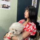 수지펫