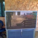 양지-3103 이미지