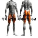 엔엘 휘트니스 이미지