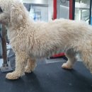 멍 삼촌 이미지