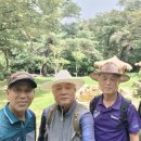 제463차 鳥谷關(380m)9.1(火) 定期山行 이미지