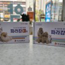다정온누리약국 이미지