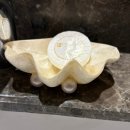 프리미어짐 | 보홀 여행 헤난 프리미어 코스트 내돈내산 후기 알로나 비치 수영장 선셋 즐길 수 있는 곳