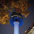 트레져타워