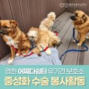 계절엔 동물의료센터 이미지