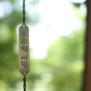 용천농장낚시터 이미지