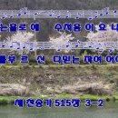 하늘보라 이미지