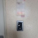 세교공원로 이미지