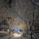 연변 번역 행정사사무소 이미지