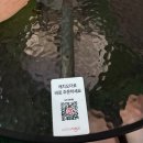 11620-12-68-1 | [서울/송파] 잠실새내 피자 보통의숲 야장 피맥하기 좋은 분위기