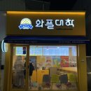 뒷개다방 | 와플맛집 목포북항캠퍼스 와플대학 입학 후기