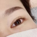 얀스킨 앤 바디