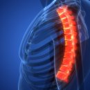 서울연신내한의원 이미지