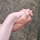 내가본미장원