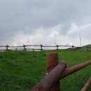 일선목장 이미지