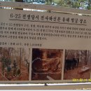 덕곡천 이미지