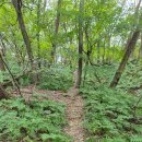 마국산둘레길 이미지