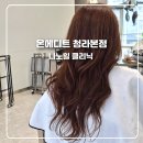 청라미용실 온에디트 청라본점 이안 원장 나노힐 클리닉으로 손상모 복구 후기