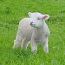 백양세탁 이미지