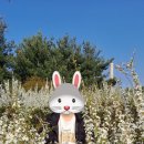 에코공원 이미지