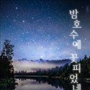 by.피다