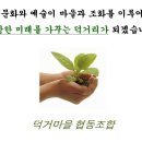 돌배마을협동조합 이미지