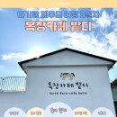 인정목장 | 21개월 아기와 제주여행 3일차(2)｜목장카페 밭디 후기(말·포니 먹이주기부터 흙놀이까지)