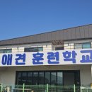 메이저 애견훈련학교 이미지