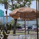 세일종합카인테리어 | 천안 목천 대형카페 추천, 조용하고 분위기 좋은 카페마찌 방문 후기