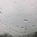 안산해솔초등학교 이미지