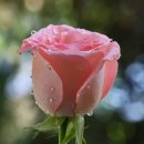 웰빙댄스 이미지