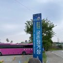 나래비디오 | 동해 l 해파랑길 실패 후 떠돌이 여행 l 콩앤삐펜션 후기
