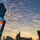 (주)아성다이소 신정네거리점 | 다이소 신정네거리 - 후라이팬, 강화유리 뚜껑, 종이호일 쇼핑