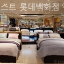 코지네스트전주점