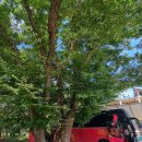 마을회관 이미지