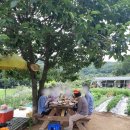 한얼공인중개사사무소 이미지