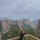 밀레니얼의 여행은 어떻게 달라질 것인가 | 칭다오 여행 DAY 3 라오산, 편의점 중국 등산 완전 추천 하오