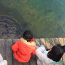 서귀포KAL호텔 이미지