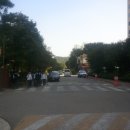 분당-133 이미지