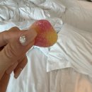 궁전부페 | 분위기 가득한 12월의 비엔나🇦🇹🎄 #자허카페 #슈테판대성당 #벨베데레궁전 및 크리스마스 마켓 후기 #Day2