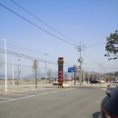 돈까스와 뼈다귀 이미지