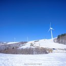 삼양목장 이미지