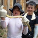 송원농장민박 이미지