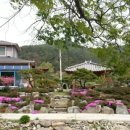 백아산풀하우스 이미지