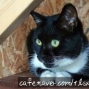 화천농장 | [공지] 가성비최고!! 보리농장 직거래 사과대추 1kg 13,000원부터