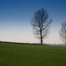 (주)안성목장 이미지