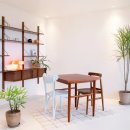 아누캄파(ANUKAMPA) 이미지